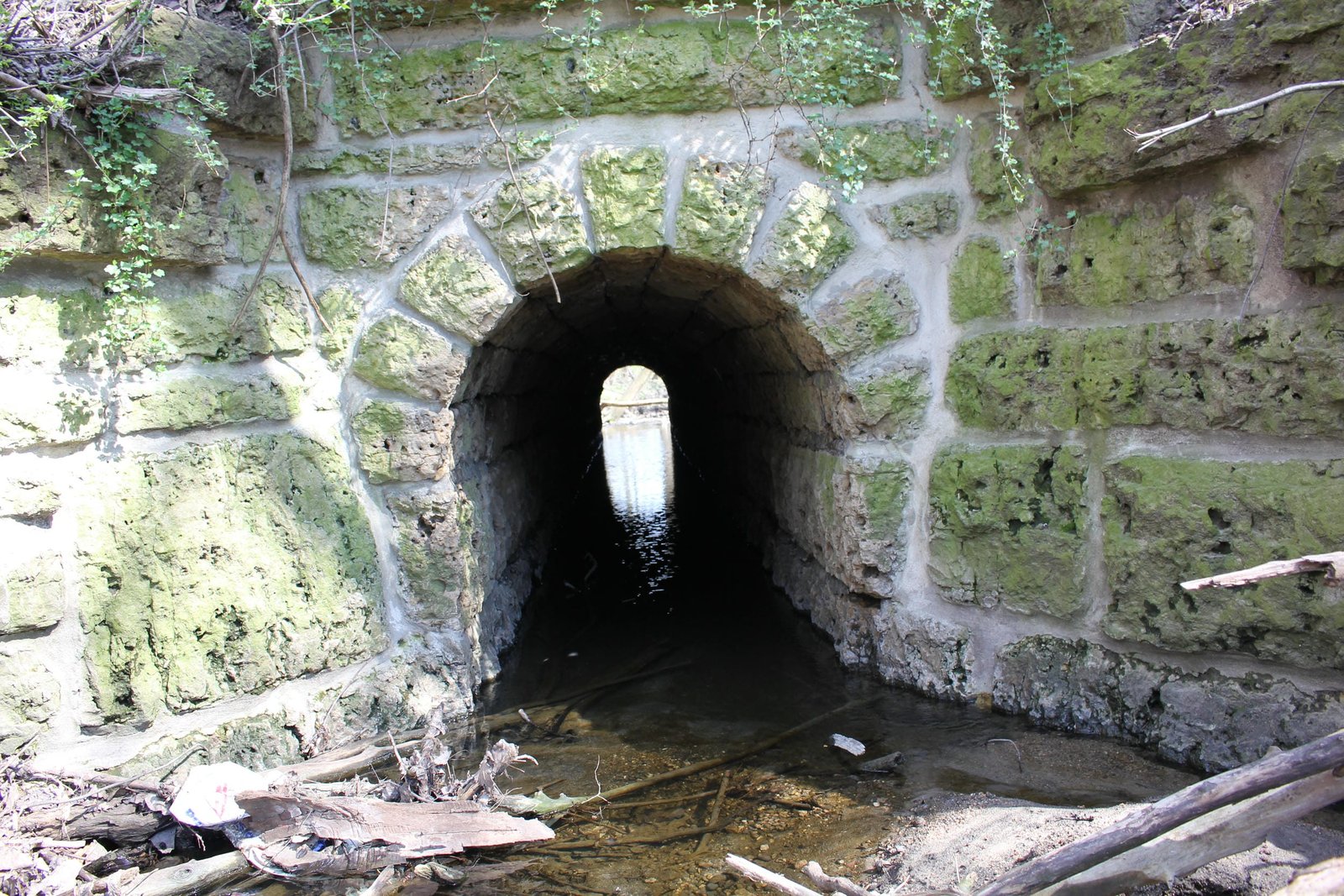Arch details